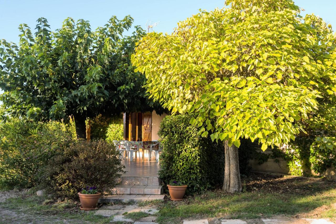 Le Violet Bed and Breakfast Gaillac Buitenkant foto